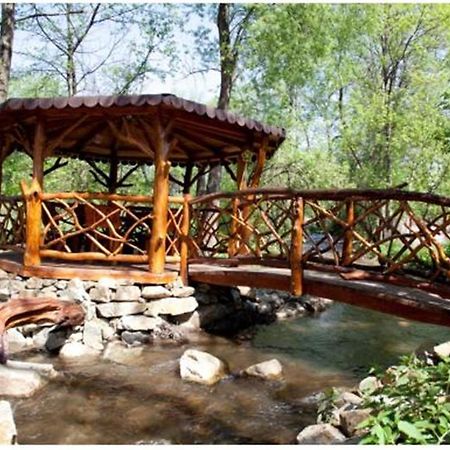 Pensiunea Pentru Tine Prietene Arcani Εξωτερικό φωτογραφία