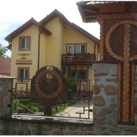 Pensiunea Pentru Tine Prietene Arcani Δωμάτιο φωτογραφία