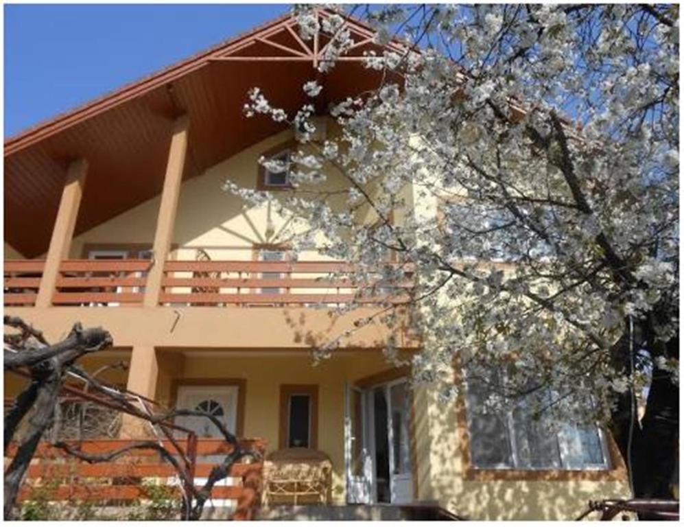 Pensiunea Pentru Tine Prietene Arcani Δωμάτιο φωτογραφία