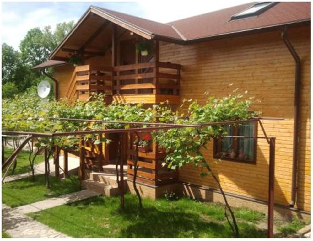 Pensiunea Pentru Tine Prietene Arcani Εξωτερικό φωτογραφία