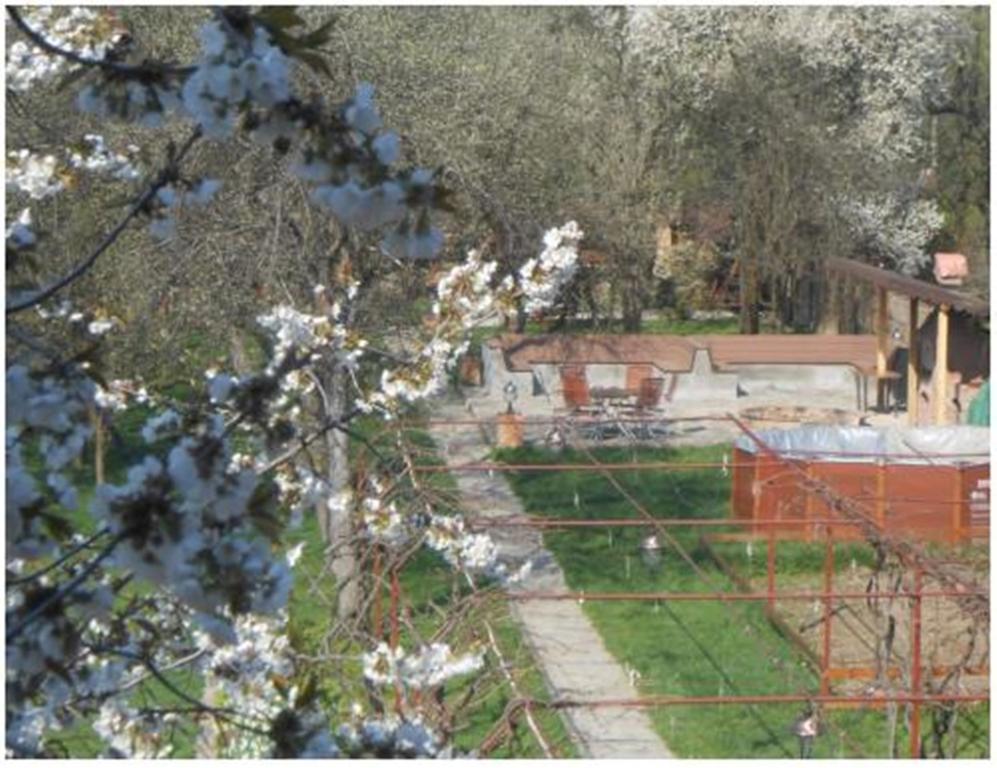 Pensiunea Pentru Tine Prietene Arcani Δωμάτιο φωτογραφία